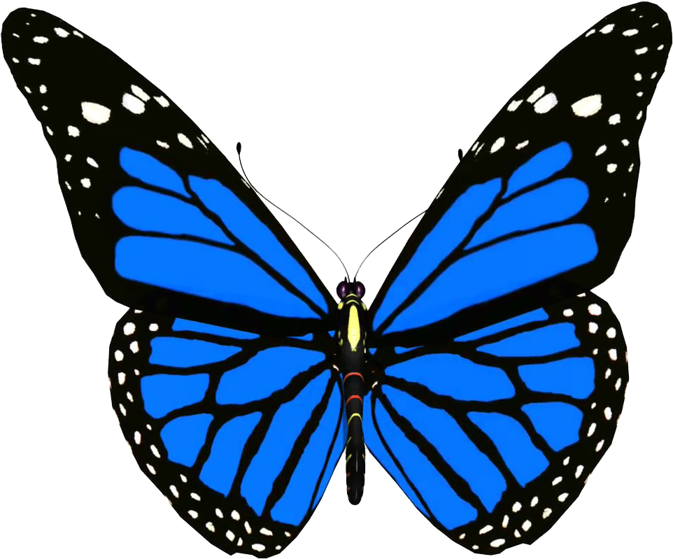 Vibrant Blue Butterfly.png