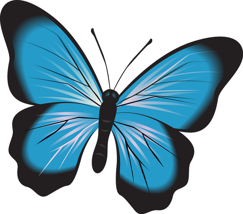 Vibrant Blue Butterfly Vector