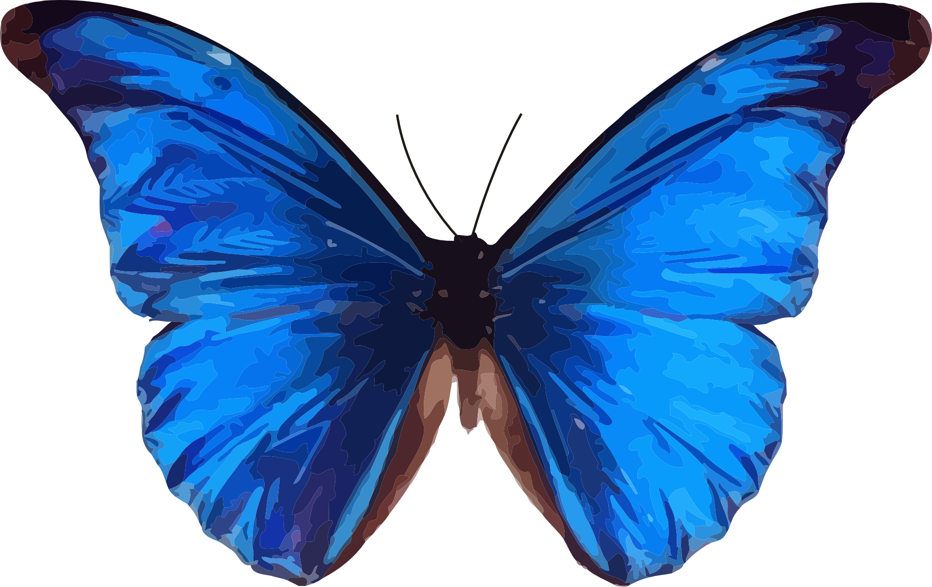 Vibrant_ Blue_ Butterfly_ Vector_ Art.png