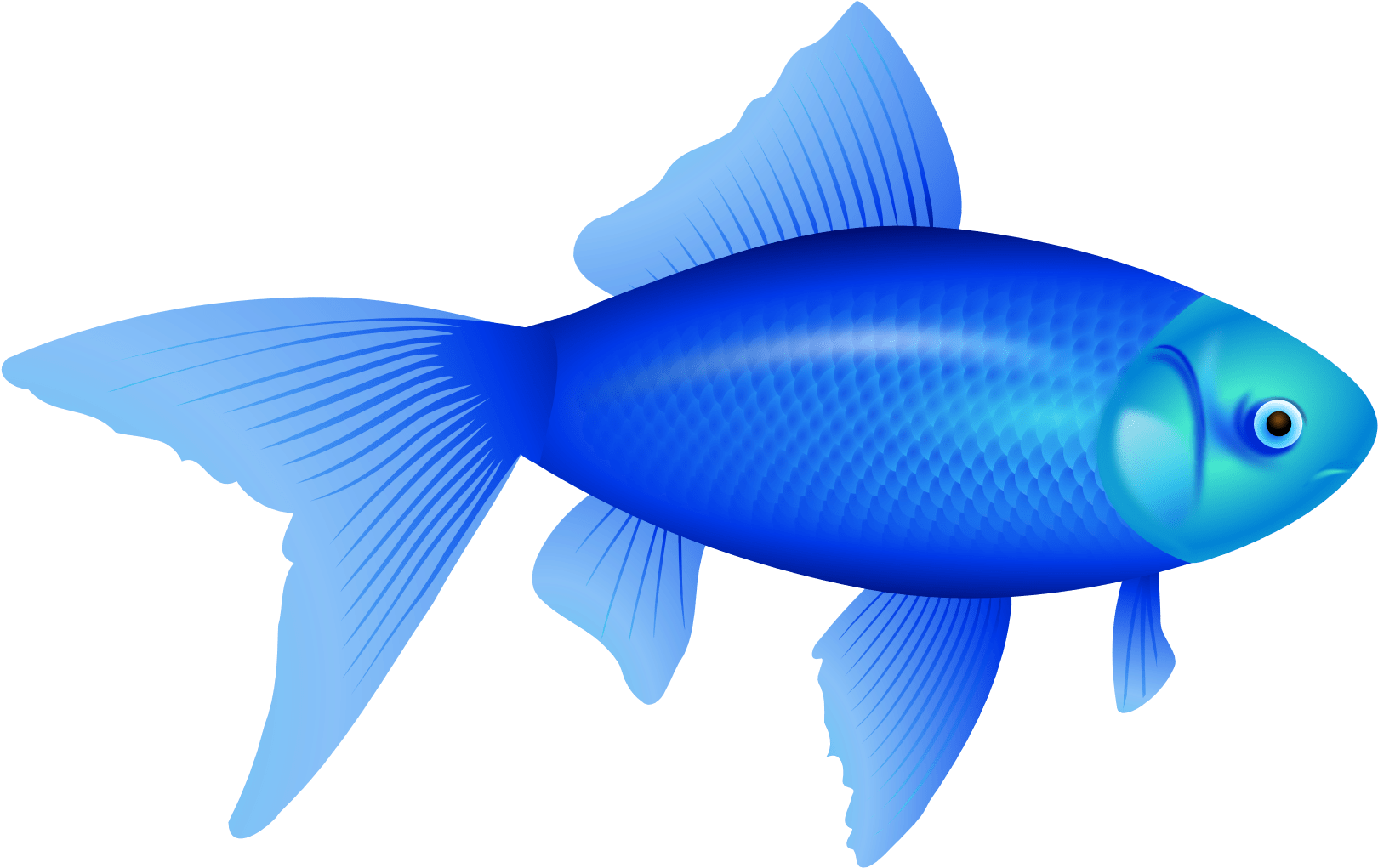 Vibrant_ Blue_ Fish_ Illustration.png