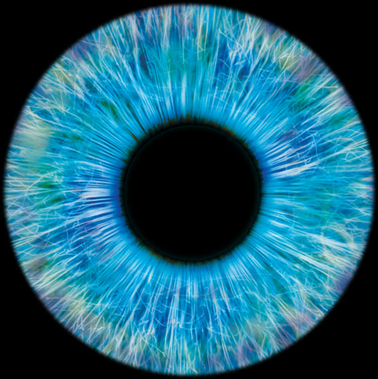 Vibrant Blue Human Iris Closeup