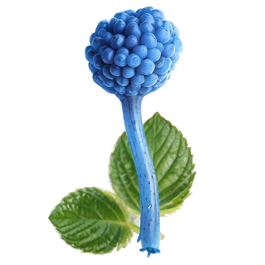 Vibrant Blue Raspberry Png Enp