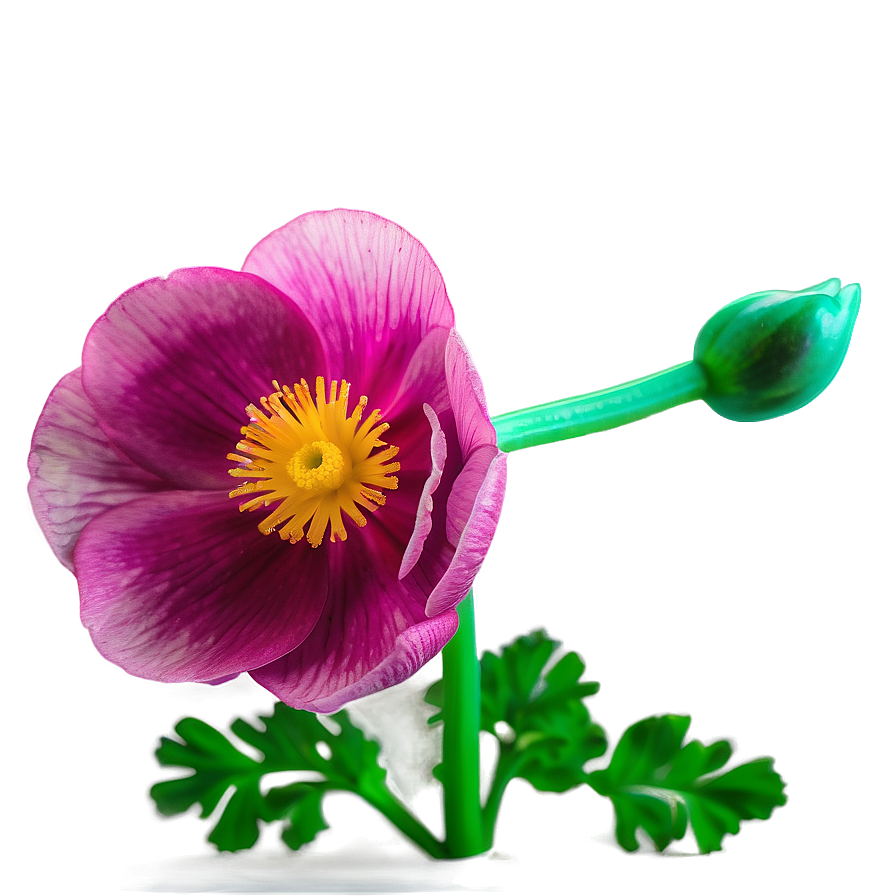 Vibrant Buttercup Png Rii62