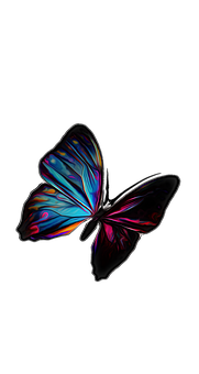 Vibrant Butterfly Artwork