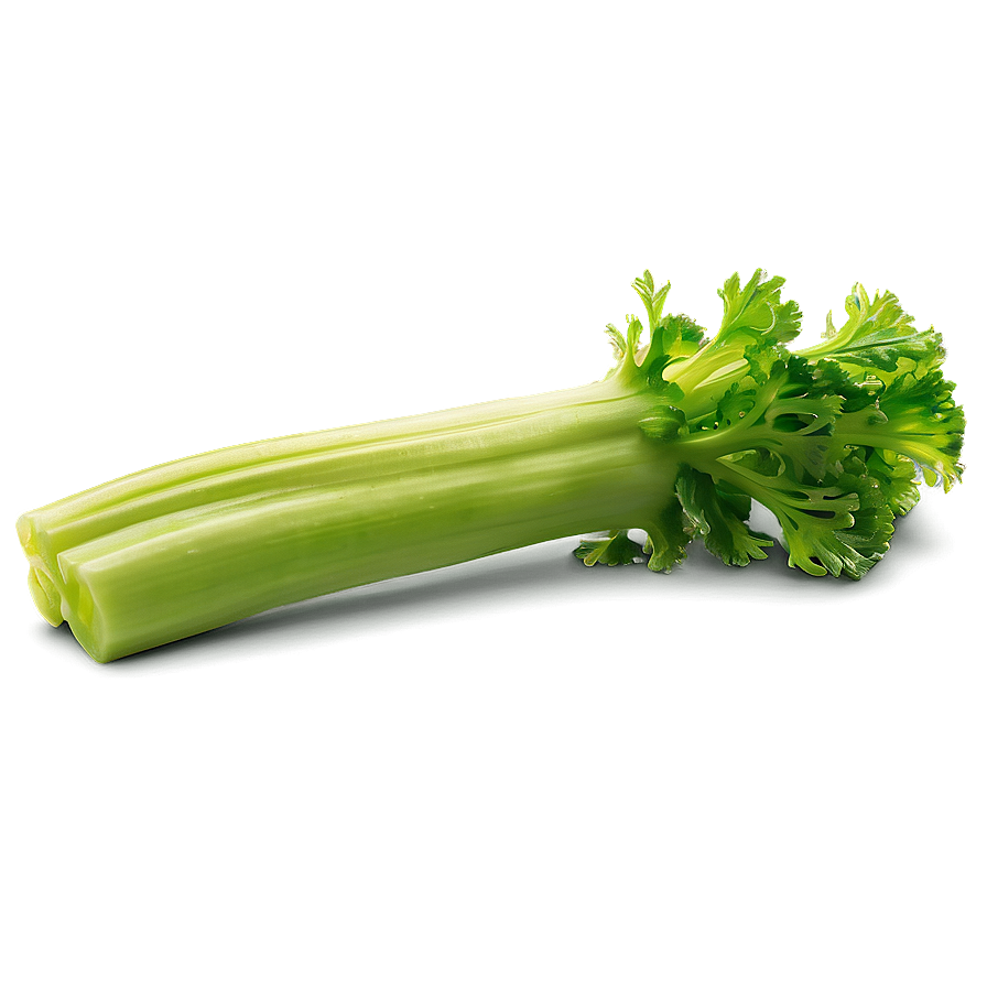 Vibrant Celery Stalk Png 50