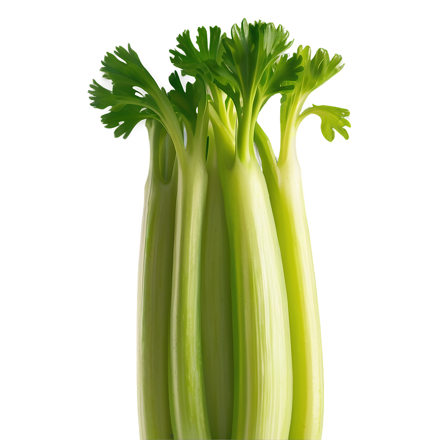 Vibrant Celery Stalk Png 59