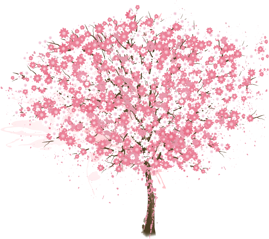 Vibrant Cherry Blossom Tree