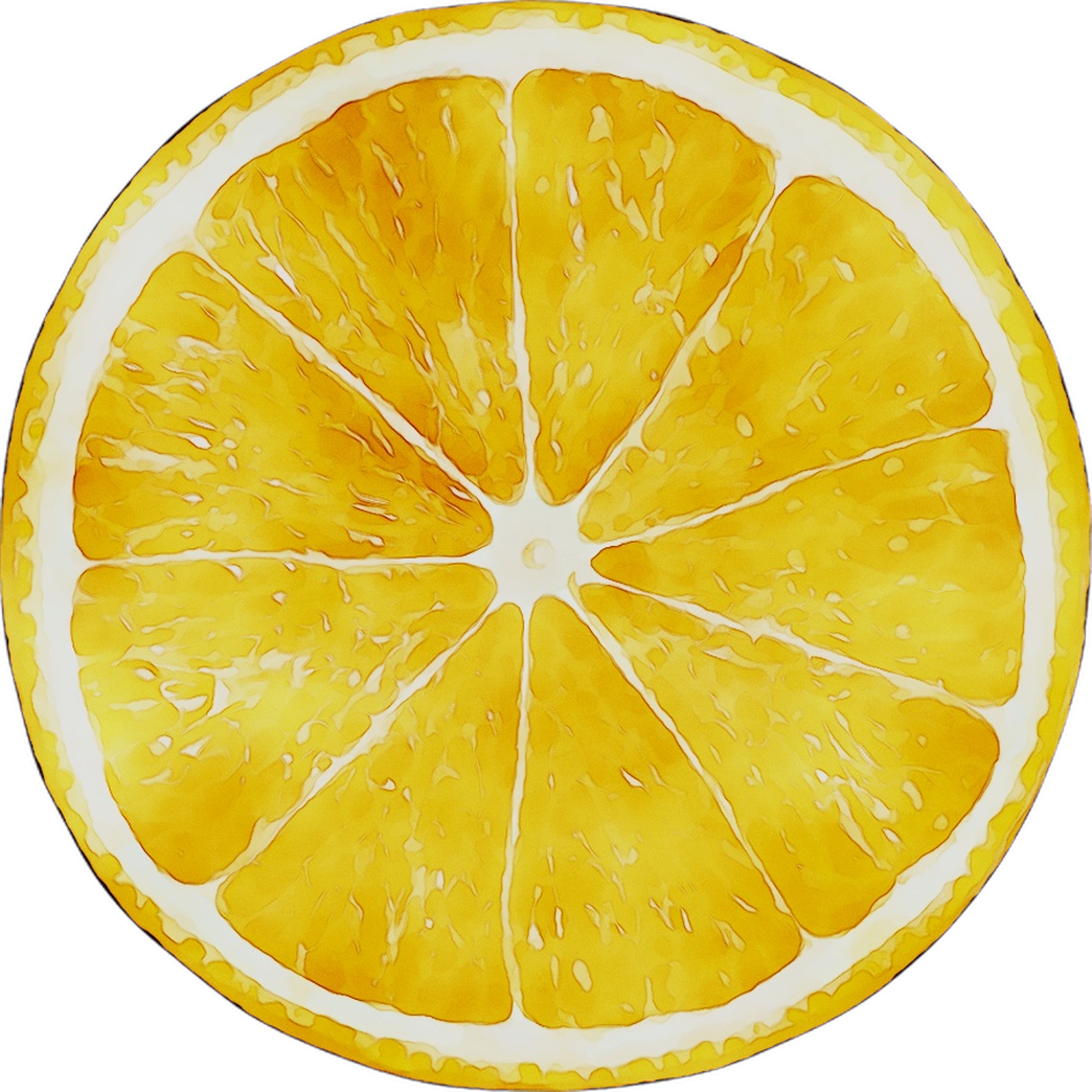 Vibrant Citrus Slice