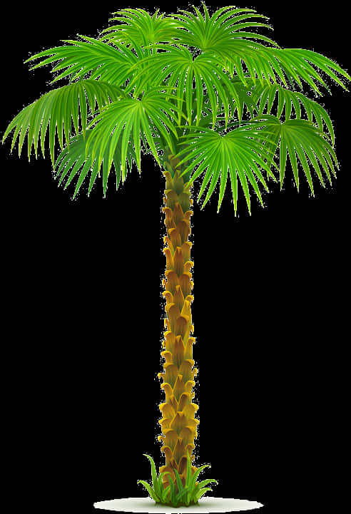 Vibrant Coconut Tree Graphic