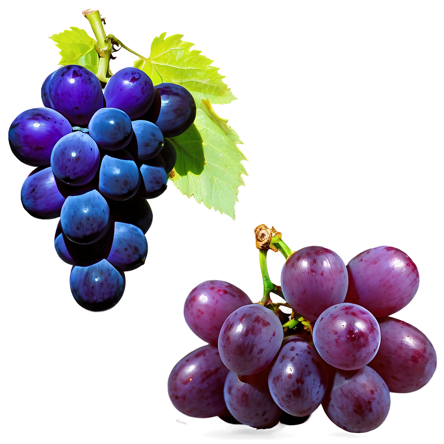 Vibrant Color Grape Png 59