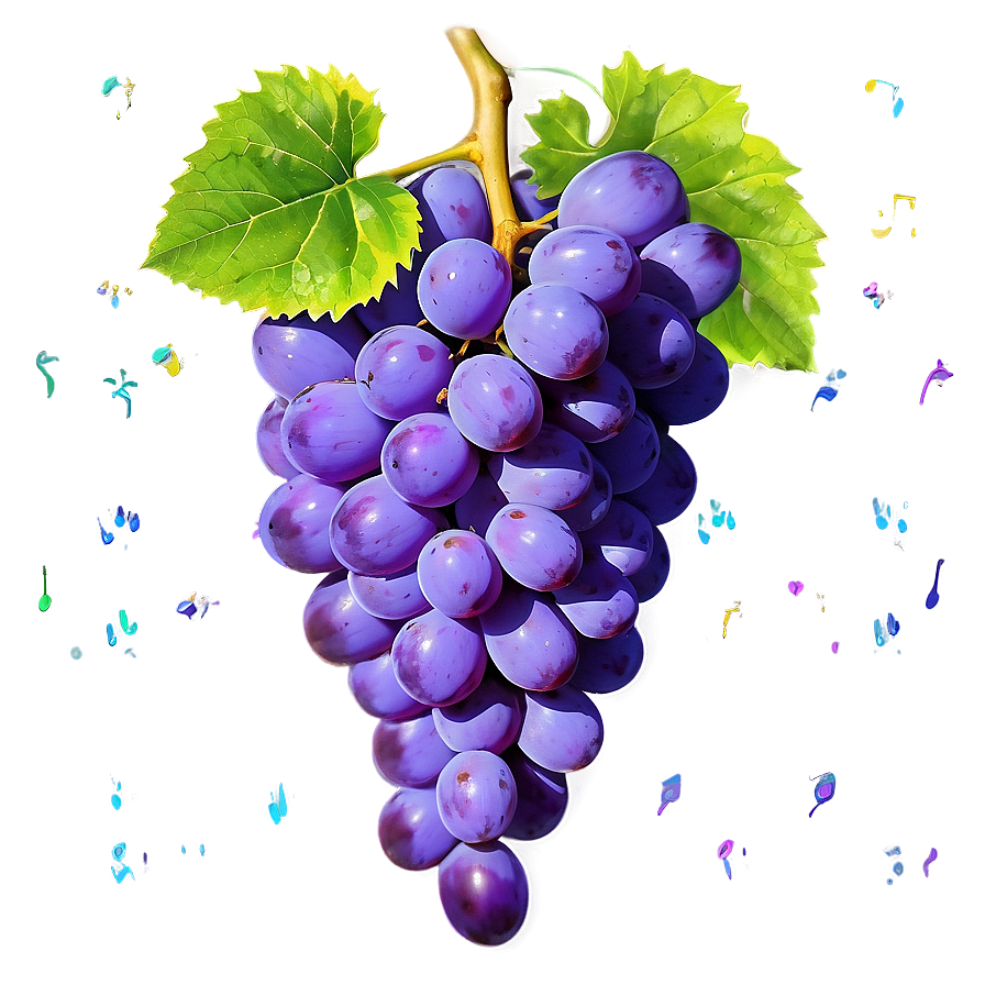 Vibrant Color Grape Png Kaa