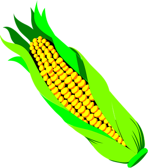 Vibrant Corn Illustration