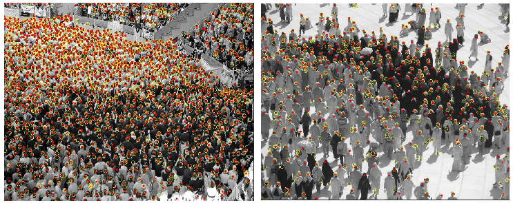 Vibrant Crowd Selective Color