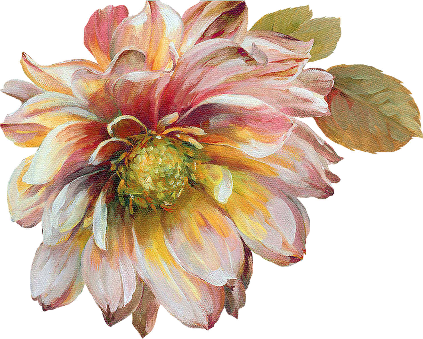 Vibrant Dahlia Artwork