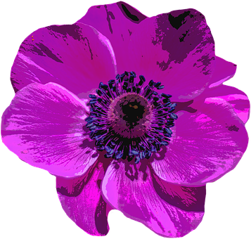 Vibrant Digital Art Poppy