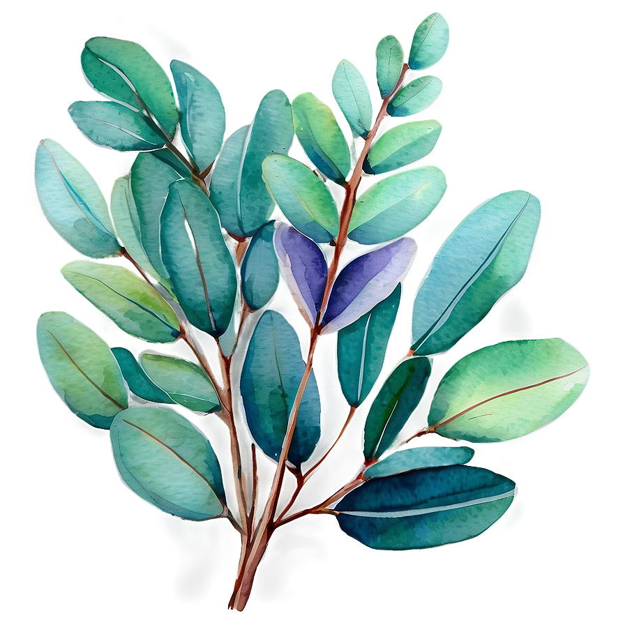 Vibrant Eucalyptus Watercolor Png Huy80