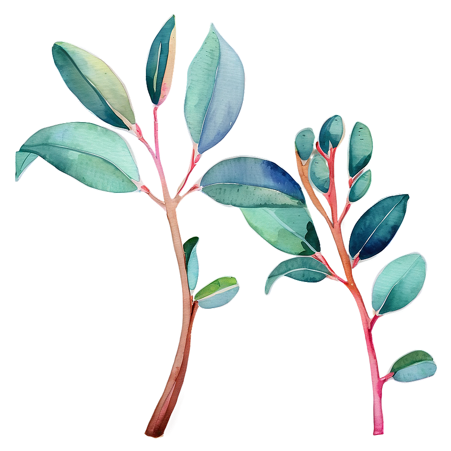 Vibrant Eucalyptus Watercolor Png Uix