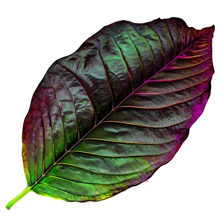 Vibrant Fall Leaf Png 05252024