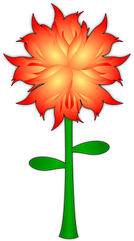 Vibrant Flame Flower Illustration