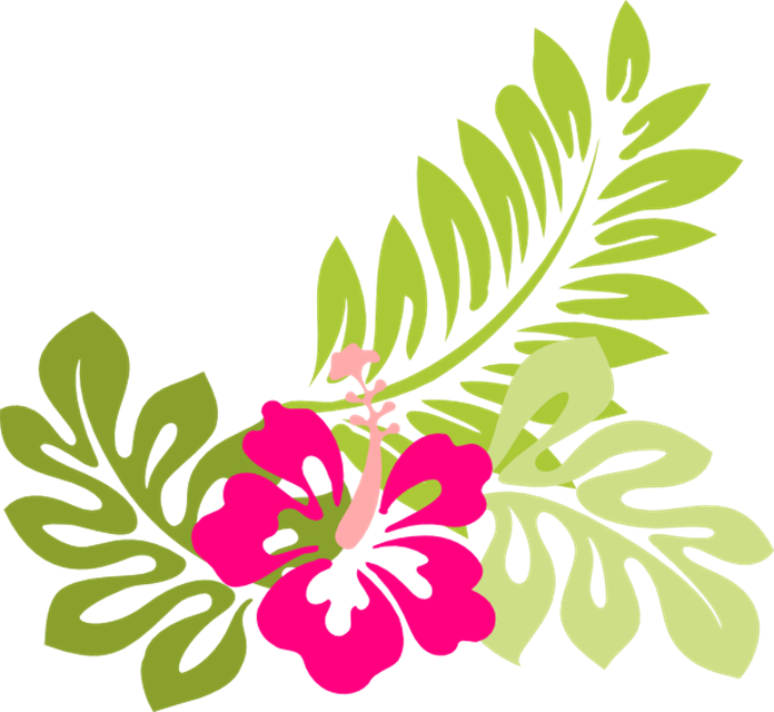 Vibrant Floral Clipart