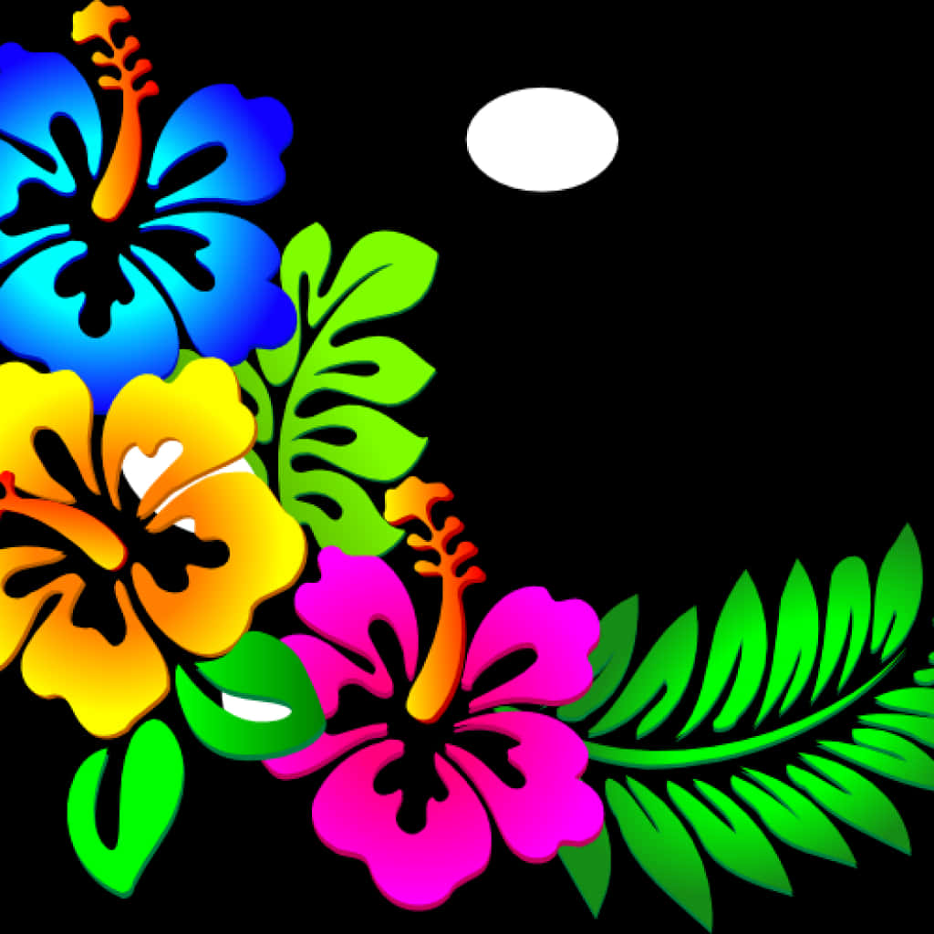 Vibrant Floral Designon Black Background