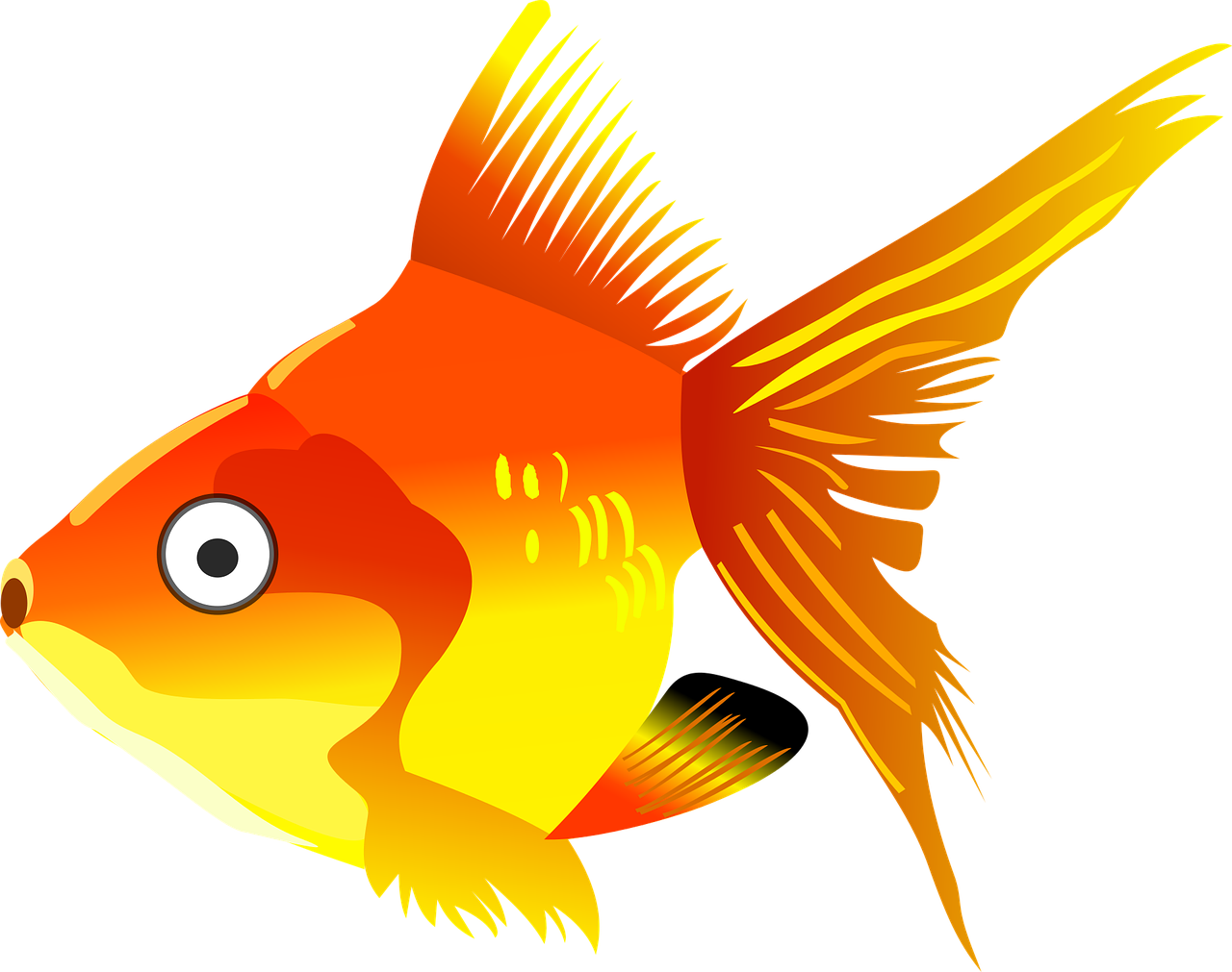 Vibrant Goldfish Illustration