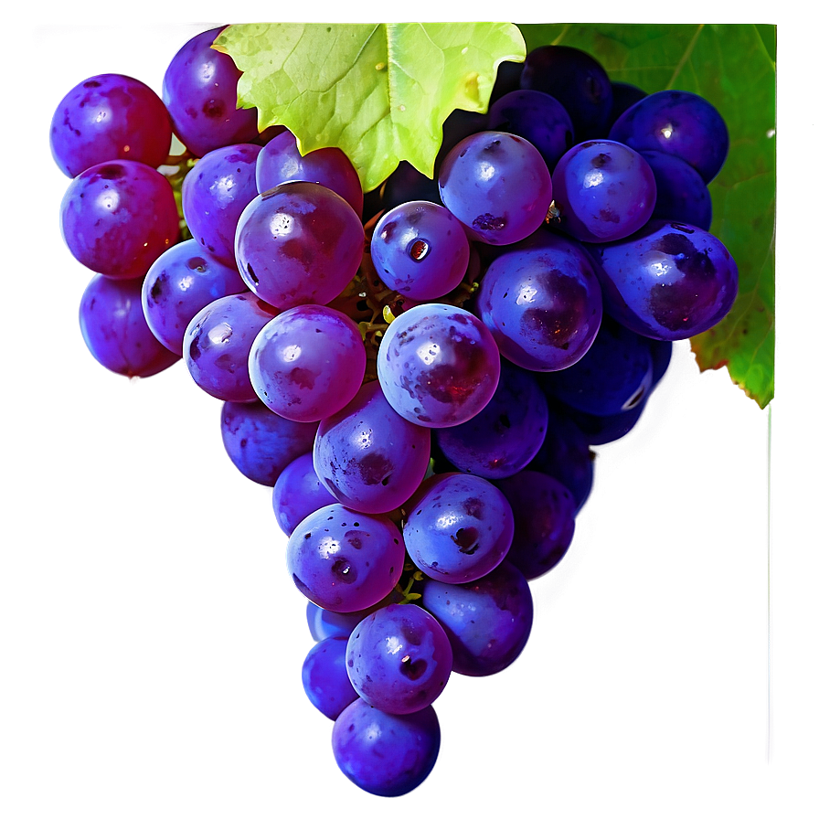 Vibrant Grape Clipart Png 06292024