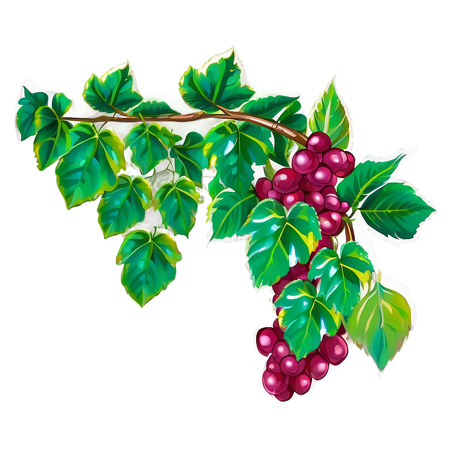 Vibrant Grapevine Illustration