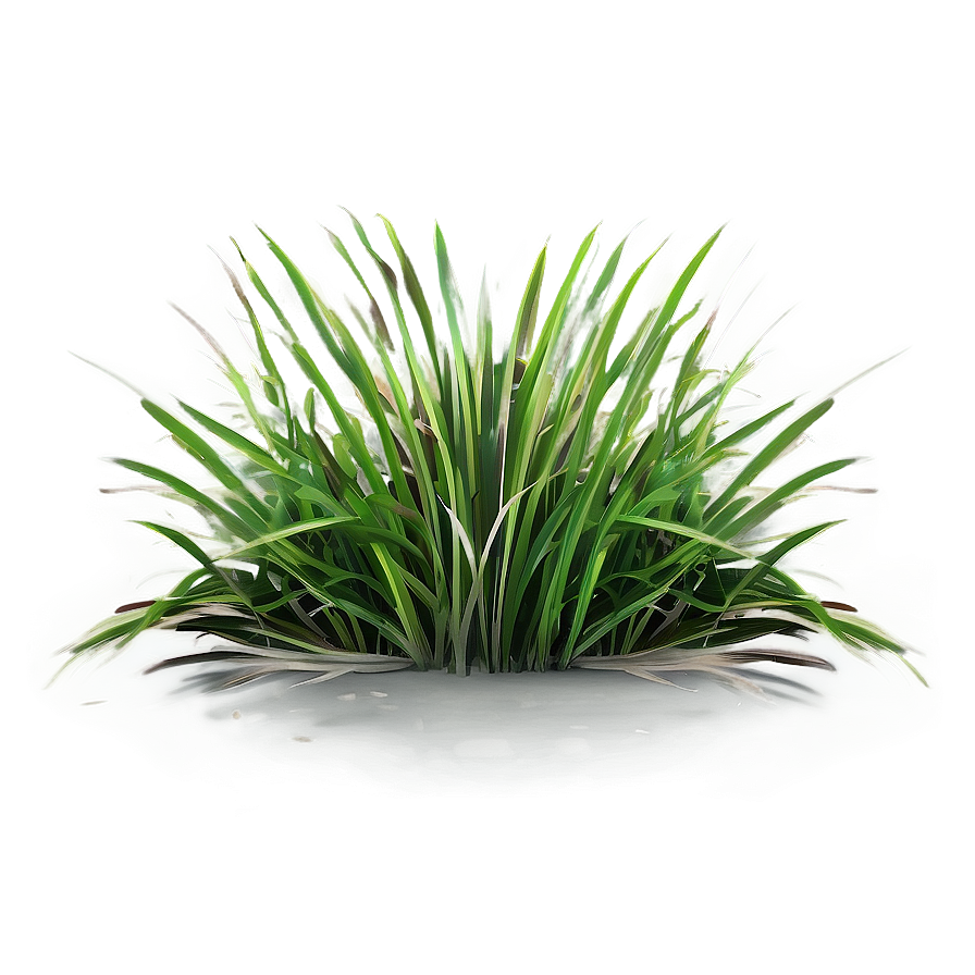 Vibrant Grass Clipart Png 06272024