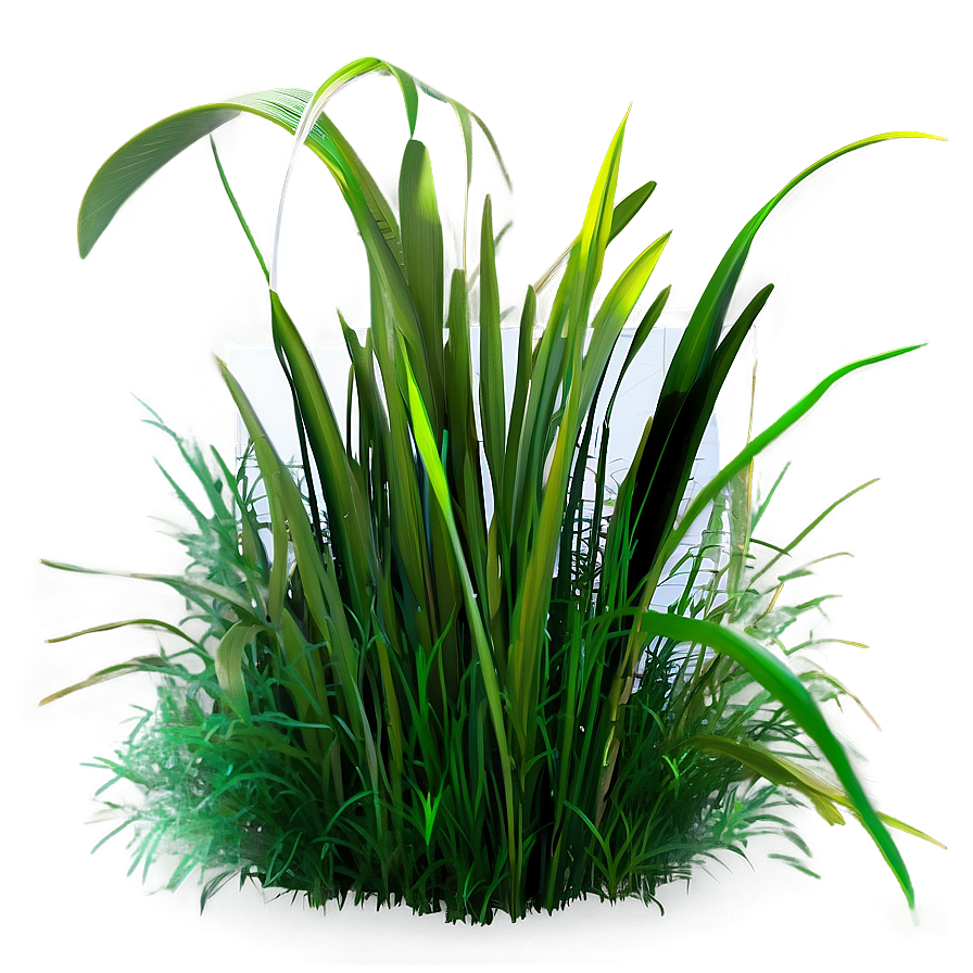 Vibrant Grass Patch Png Uwr