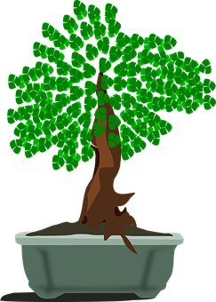 Vibrant Green Bonsai Vector