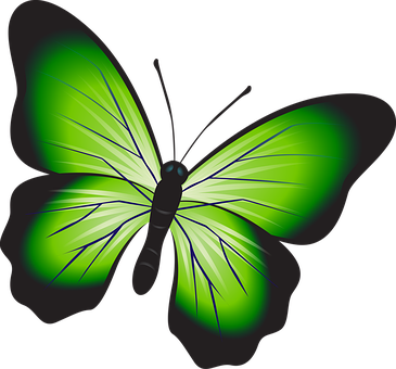 Vibrant Green Butterfly Illustration