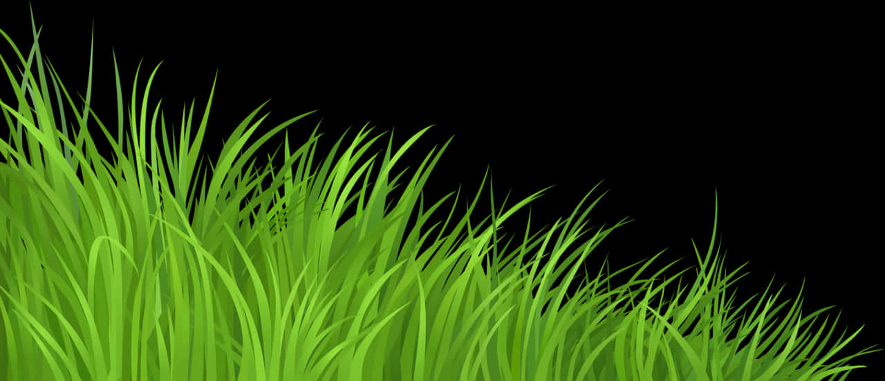 Vibrant Green Grass Background