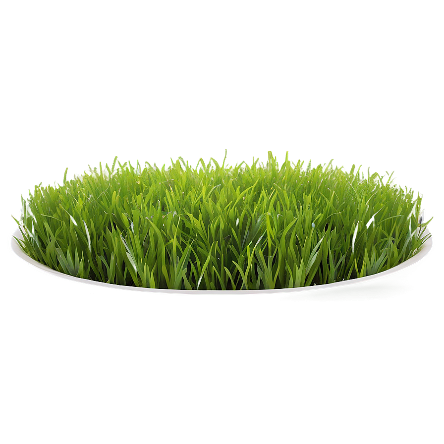 Vibrant Green Lawn Png Mvf58