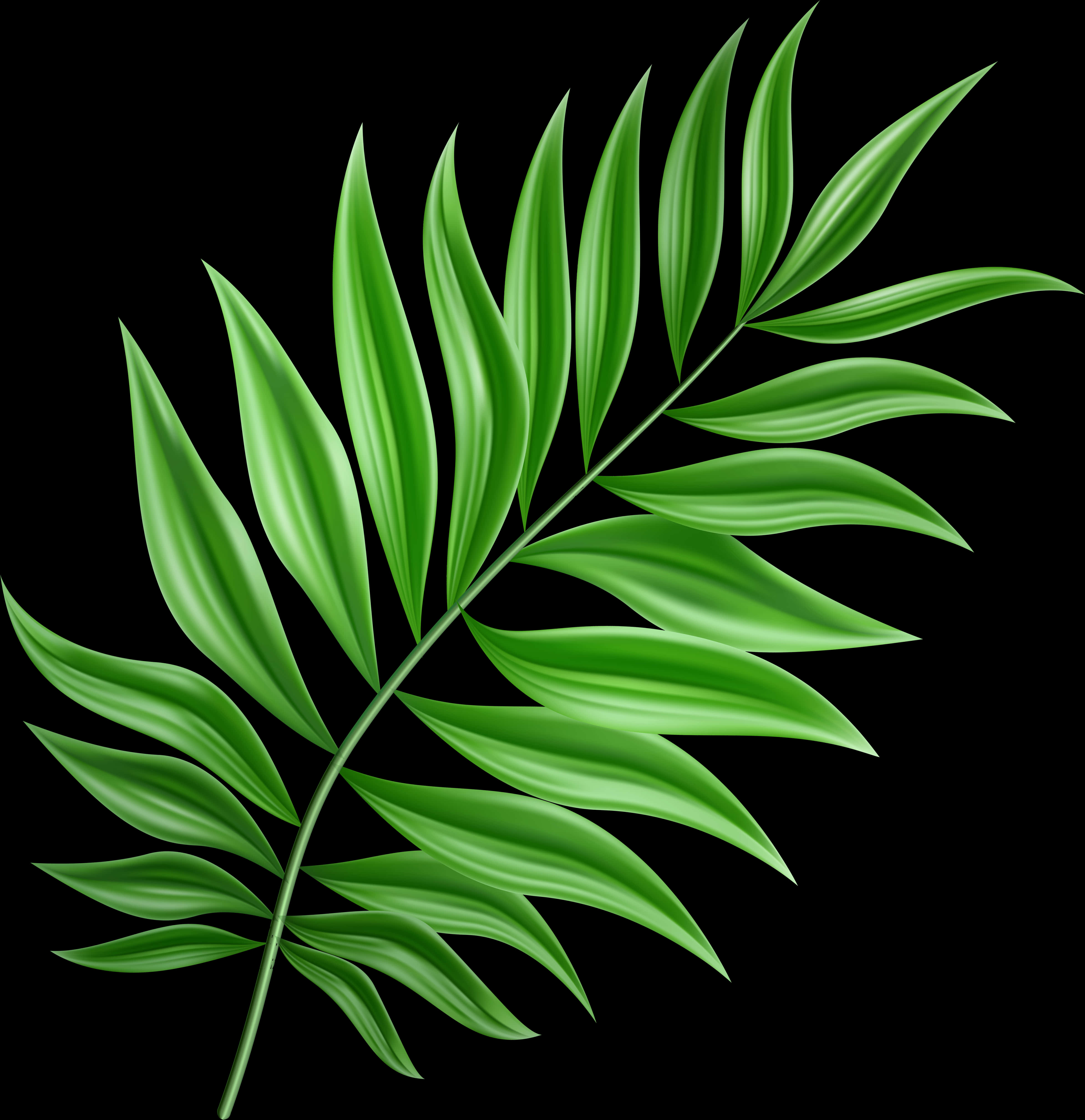 Vibrant Green Leaf Clipart