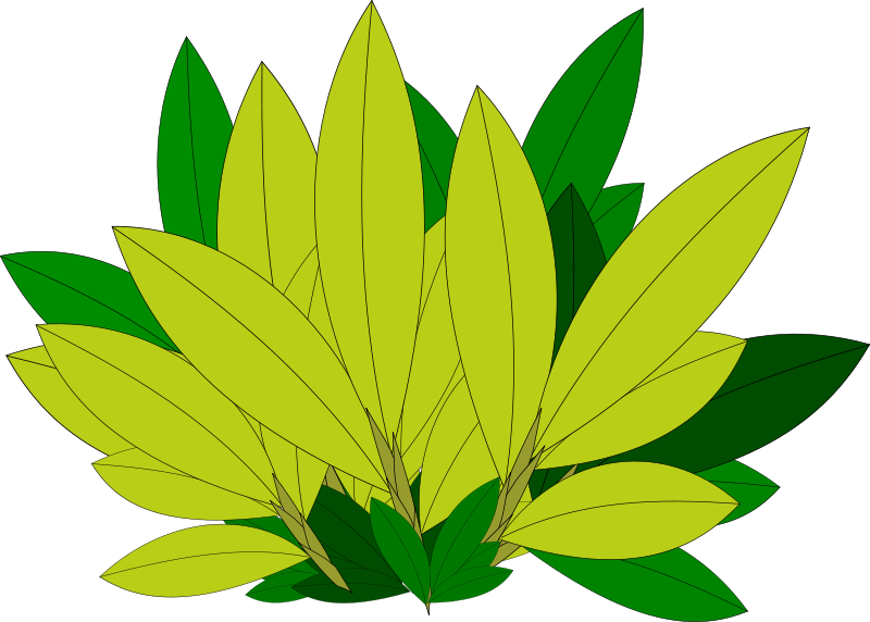 Vibrant Green Leaves Vector Illustration