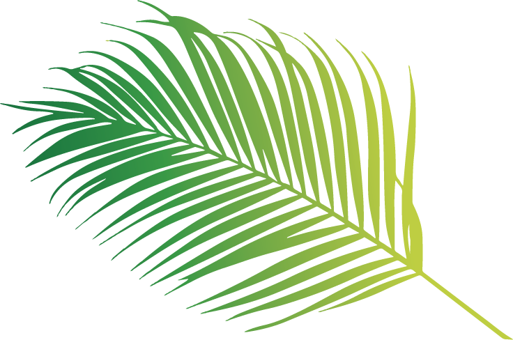 Vibrant Green Palm Leaf