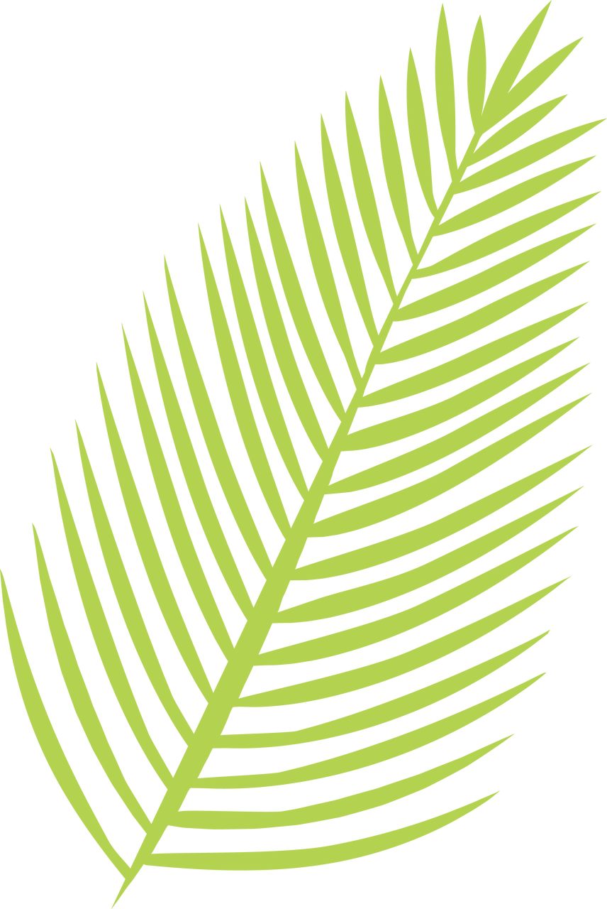 Vibrant Green Palm Leaf Graphic