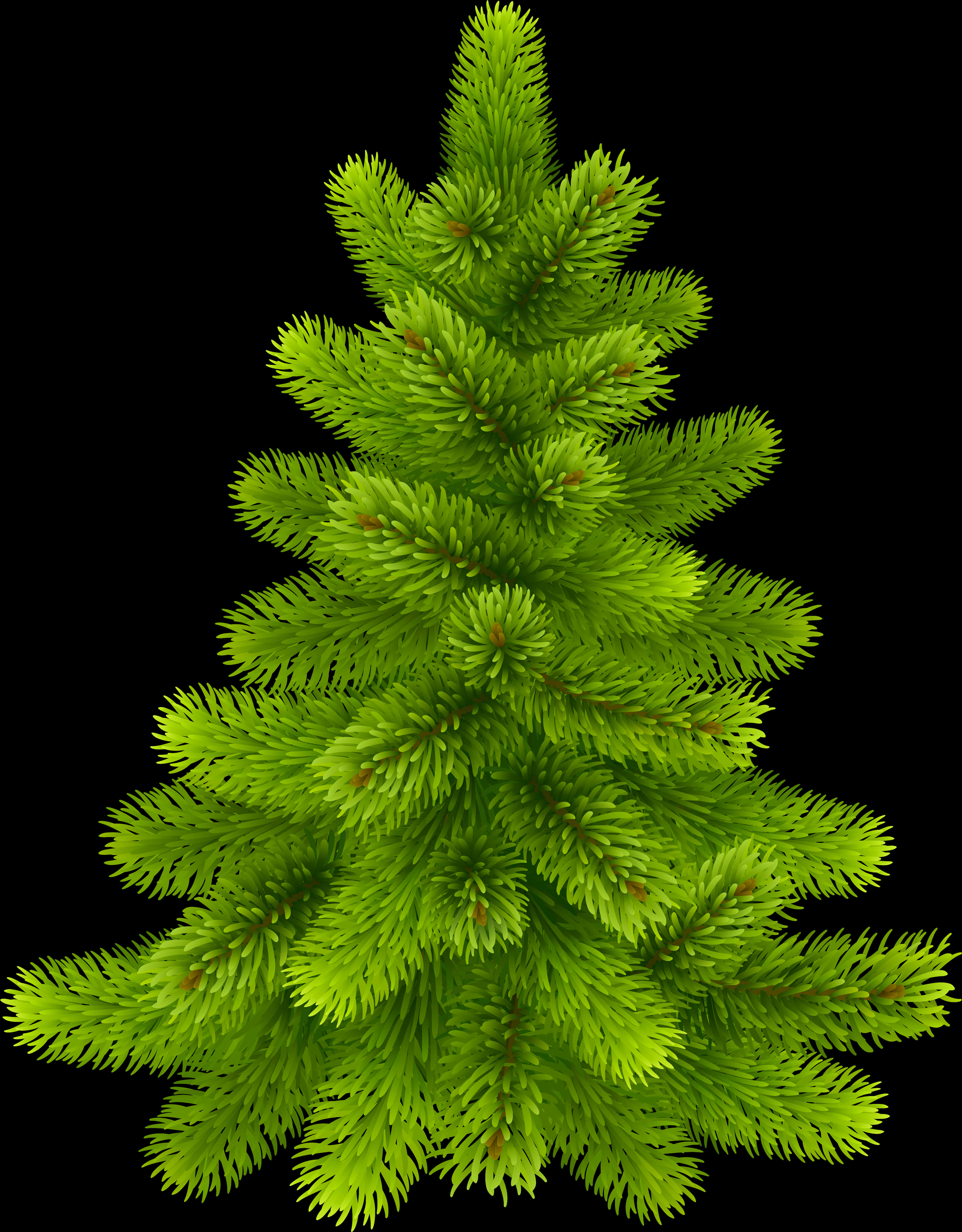 Vibrant Green Pine Tree Illustration