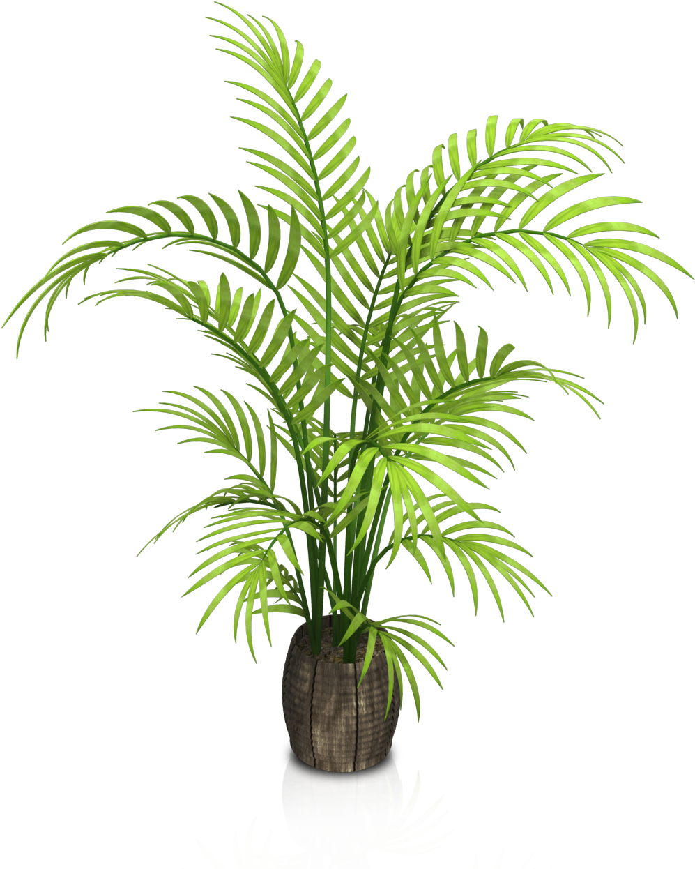 Vibrant Green Potted Palm Plant