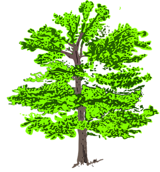 Vibrant Green Tree Illustration