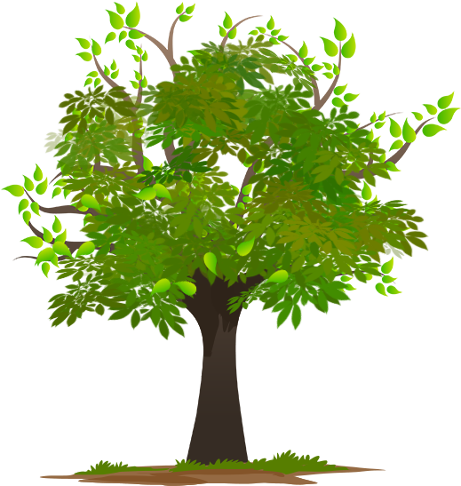 Vibrant Green Tree Illustration