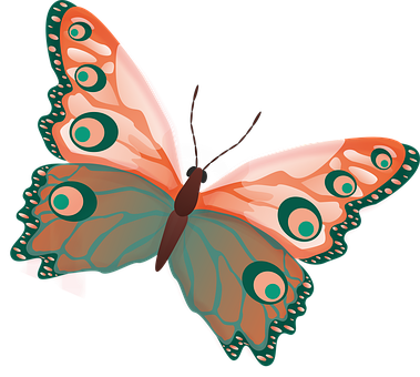 Vibrant_ Illustrated_ Butterfly