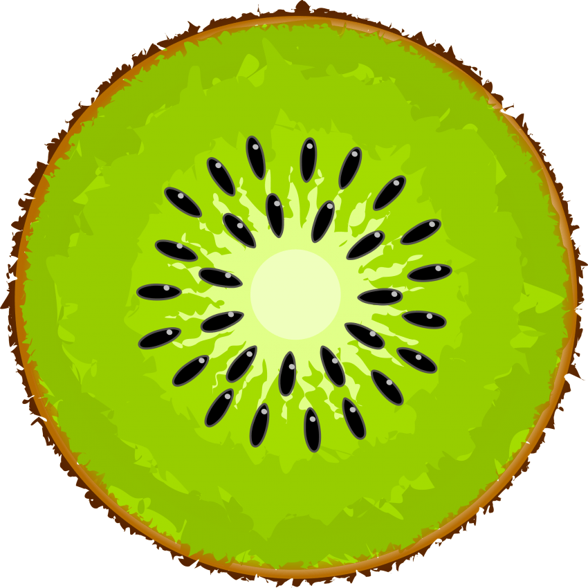 Vibrant Kiwi Slice Illustration