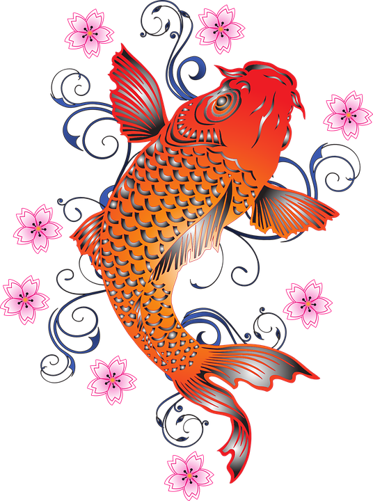 Vibrant Koi Fish Illustration