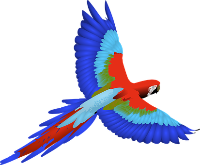 Vibrant_ Macaw_ In_ Flight