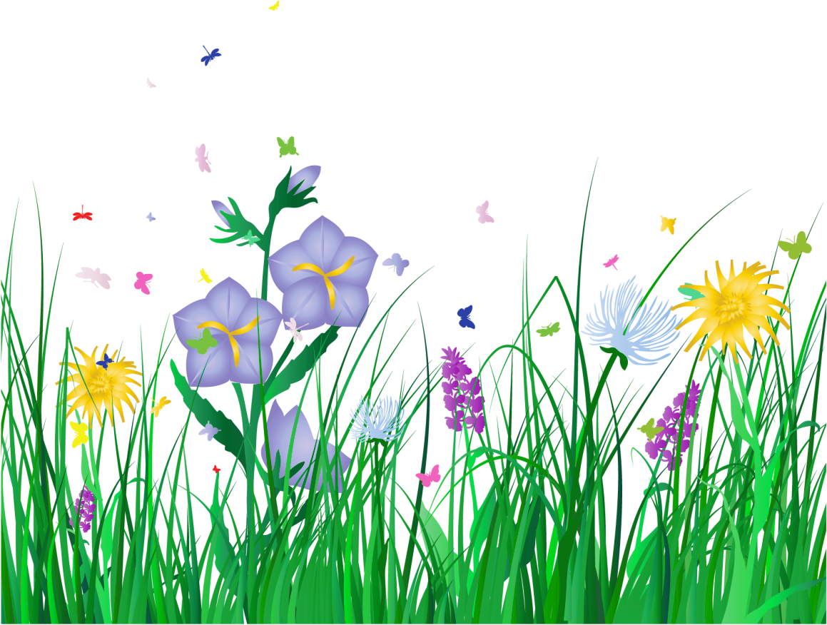 Vibrant Meadow Floral Scene