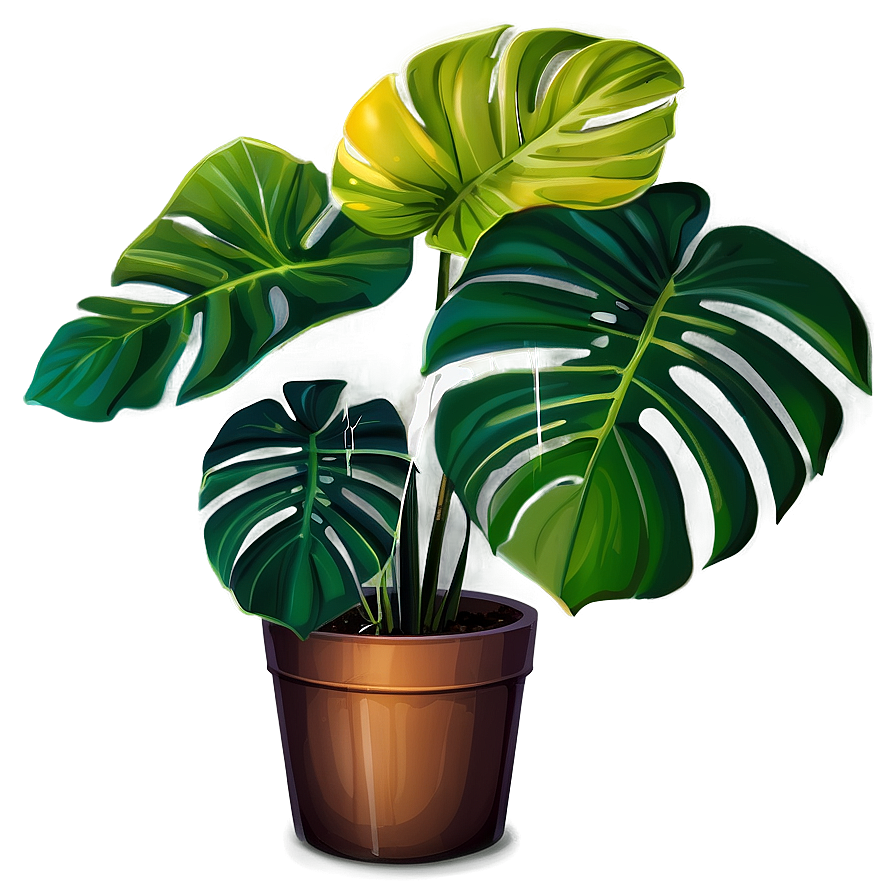 Vibrant Monstera Plant Png 15