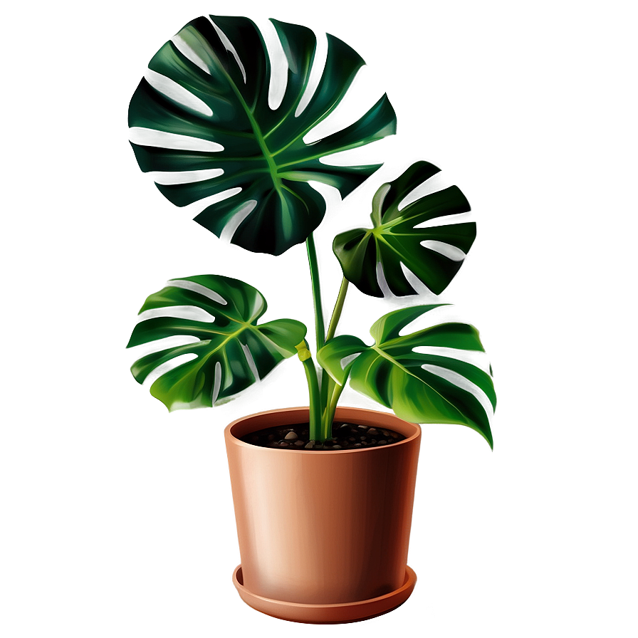 Vibrant Monstera Plant Png Vpt53