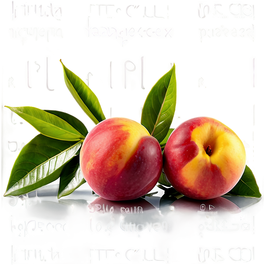 Vibrant Nectarine Png 89